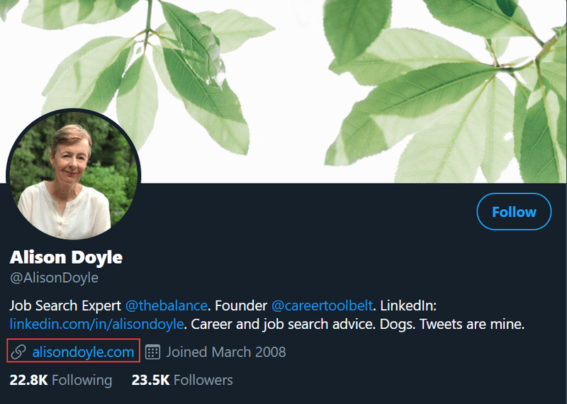 Alison Doyle's Twitter page
